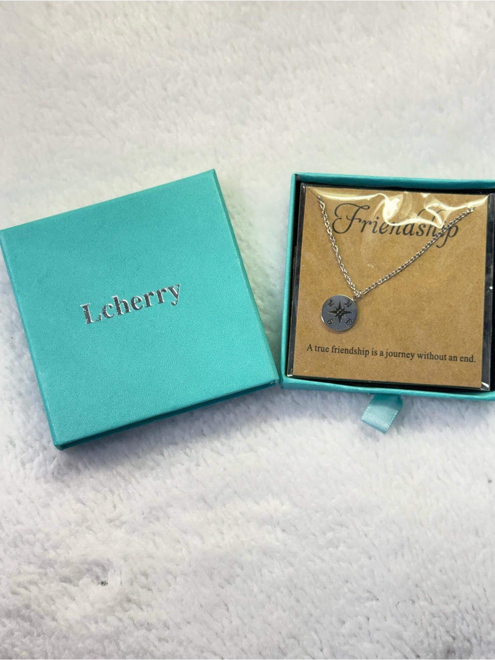Friendship Compass Pendant Necklace - Silver Tone - NWT